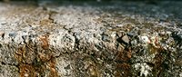 Close-up of weathered stone surface with lichen and moss growth, showing natural texture and aged patina for backgrounds and design elements.