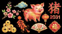 Lunar New Year of the Pig clipart set with lantern, coins, fan, firecrackers, and cherry blossom, isolated on transparent background, ready for stickers and t-shirt design.