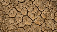 Cracked dry earth texture with deep fissures in brown and tan tones, suitable for environmental, climate change, drought, and nature-themed design projects.