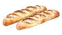 Fresh crusty French baguettes with golden brown crust and distinctive diagonal scoring marks on white background, watercolor style food illustration.