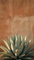 Desert agave plant with sharp pointed leaves against weathered terracotta adobe wall creating southwestern architectural botanical composition.