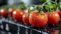 Fresh ripe cherry tomatoes with water drops on dark background, macro shot with selective focus and natural light for food photography and marketing.
