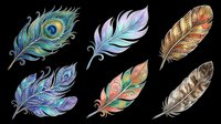 Feather collection with peacock, watercolor, and decorative designs isolated on transparent background, ready for t-shirt designs, clipart, stickers, sublimation, and print-on-demand projects.