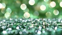 Sparkling water drops on green surface with soft bokeh lights creating magical atmosphere. Natural macro photography with shallow depth of field.