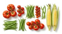 Fresh organic vegetables arranged on white background including ripe red tomatoes, green beans, sweet corn ears with husks for healthy cooking and nutrition.