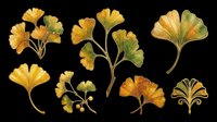 Ginkgo biloba leaves in golden yellow and green tones, isolated on transparent background. Ready for t-shirt design, clipart, stickers, sublimation, print-on-demand products and digital crafts.