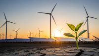 Green plant seedling growing from cracked earth with wind turbines at sunset symbolizing renewable energy and environmental sustainability.
