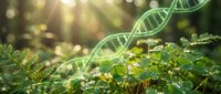 Green DNA double helix structure floating above lush plant leaves with golden sunlight and bokeh effects for biotechnology and genetic research concepts.