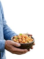 Man holding wooden bowl filled with roasted chickpeas garnished with herbs, isolated on white background for food and nutrition content.