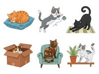 Cute cats in various playful poses and settings, isolated on white background, ready for design use on merchandise, greeting cards, children's books, and digital projects.