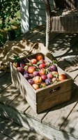 Rustic wooden crate filled with fresh plums and peaches on a sunlit garden porch, evoking summer harvest abundance and farm-to-table living.
