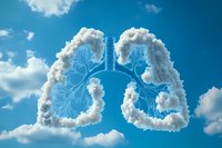 Cloud formation shaped as human lungs with anatomical bronchial tree structure against bright blue sky background, representing clean air and respiratory health concept.