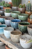 Collection of handcrafted ceramic pots in various colors with speckled glazes, displaying small cacti and succulents for home decor and indoor gardening.