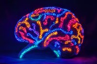 Glowing neon brain shape with vibrant blue, pink, and orange lights against dark background creates futuristic neural network visualization for technology concepts.