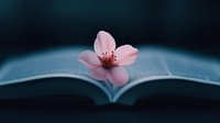 Pink cherry blossom resting on open book pages with dark moody background creates serene minimalist composition for meditation and reading concepts.