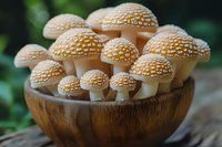 Spotted mushrooms with beige caps growing in wooden bowl against green nature background, macro photography of wild fungi family in natural light.