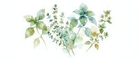 Watercolor botanical illustration featuring various green herbs and foliage arranged in a natural composition on white background. Suitable for wellness, culinary, and design projects.