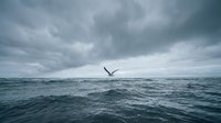 Lone seagull soars over choppy ocean waves under dramatic stormy gray clouds. Moody seascape captures freedom and solitude in nature's raw power.
