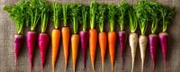 Fresh organic rainbow carrots and radishes arranged in row on rustic burlap background, colorful healthy vegetables with green tops for farm market produce.