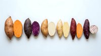 Assorted potato varieties displayed in cross-section and whole forms, showcasing different colors and textures for culinary, agricultural, and nutritional content.