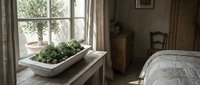 Rustic bedroom with natural light from large windows, potted green plants on wooden dresser, vintage furniture, and neutral tones for home decor design.