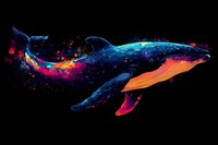 Majestic humpback whale in cosmic colors with vibrant splashes of blue, pink and orange against black background, watercolor style artwork for wall decor and prints.