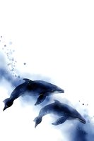 Graceful dolphins swimming in watercolor splash effect on white background, navy blue marine mammals with splatter texture and ethereal underwater atmosphere.