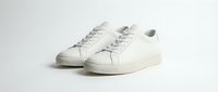 White leather sneakers pair isolated on clean background for fashion and footwear design projects.