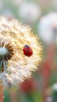 Red ladybug crawling on dried thistle seedhead with delicate spines in soft natural light, suitable for nature and wildlife design projects.