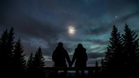 Silhouetted couple holding hands on wooden bench under moonlit night sky surrounded by evergreen forest trees and starry atmosphere.