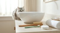 Adorable gray tabby kitten sits beside white ceramic bowl with bamboo toothbrush and green toothbrush on bathroom counter near window with natural light.