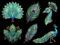 Peacock bird isolated elements with full body, feather details, and head profile in turquoise and gold tones on transparent background. Ready for t-shirt design, clipart, stickers, sublimation, and print-on-demand projects.
