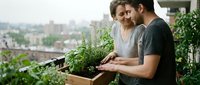 Two men tending rooftop garden plants with urban cityscape background, sustainable urban farming and green living concept for environmental awareness.