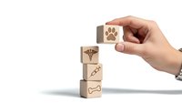Hand stacking wooden blocks with veterinary symbols including paw print, caduceus, syringe and bone for pet healthcare concept on white background.