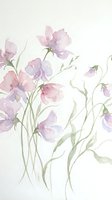 Delicate watercolor sweet pea flowers in soft pink and purple hues with green stems on textured paper background for botanical art and floral design projects.
