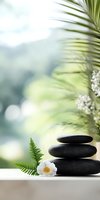 Balanced black spa stones with white daisy and fern leaf against soft tropical palm background, creating serene wellness atmosphere for spa and meditation.