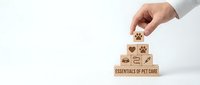 Hand placing wooden blocks with pet care icons forming pyramid on white background for veterinary services and animal health concepts.