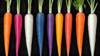 Colorful rainbow carrots arranged in row on black background, fresh organic vegetables with green tops showing vibrant natural variety in purple, white, orange, blue hues.