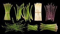 Fresh asparagus varieties set isolated on transparent background, ready for stickers, clipart, print on demand, T-shirt design, and sublimation projects.