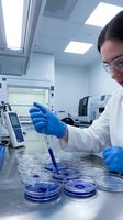 Female scientist in white lab coat and safety glasses conducting research with pipette and petri dishes in modern laboratory facility.