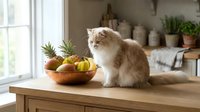 Fluffy ginger and white cat sitting on wooden table next to bowl of fresh fruits and vegetables in bright kitchen with potted plants and window light.