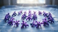 Purple hyacinth flowers arranged in circle on white surface with soft lighting and bokeh background creating dreamy spring composition for wellness concepts.