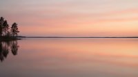 Serene lake at sunrise with pink and orange sky reflecting on calm water, silhouetted trees on shoreline, peaceful nature landscape for relaxation and meditation projects.