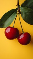 Fresh ripe cherries with green leaves on bright yellow background, perfect for food packaging design or summer fruit advertisements.