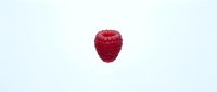 Fresh red raspberry isolated on white background, ready for food and nutrition design projects.