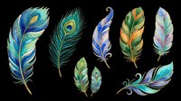 Colorful peacock feathers clipart set isolated on transparent background, ready for t-shirt design, stickers, sublimation, and print on demand projects.