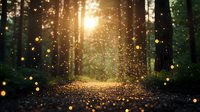 Magical forest path at sunset with glowing fireflies and golden bokeh lights creating enchanting atmosphere on dark woodland trail in summer evening.