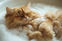 Adorable orange tabby cat sleeping peacefully in soft white blanket. Cozy domestic pet relaxation scene for home decor and lifestyle content.