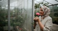 Senior woman with headscarf holding pink flower in greenhouse, enjoying gardening hobby surrounded by plants and glass panels.
