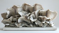Fresh oyster mushrooms growing in cluster on white substrate, displaying delicate gills and layered formation. Natural organic food photography for culinary use.